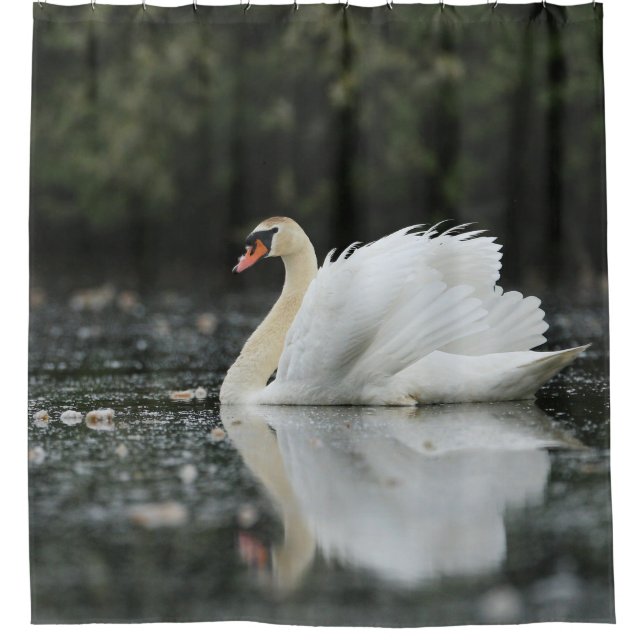 Swan Birds Water Blue White Friedlich Wildlife Duschvorhang (Vorderseite)