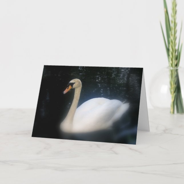 Swan Birthday Card Karte (Vorderseite)
