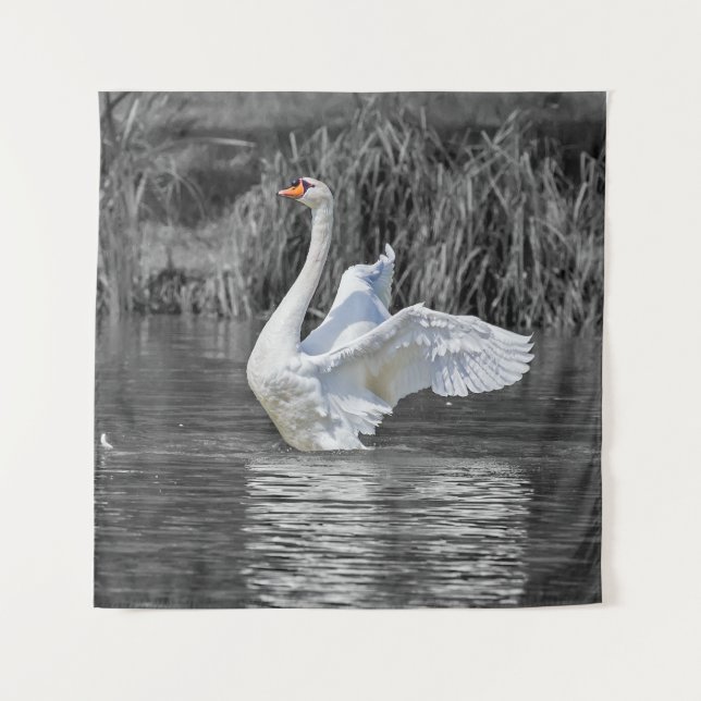 Swan Black and White Fotografy Wandteppich (Vorderseite)