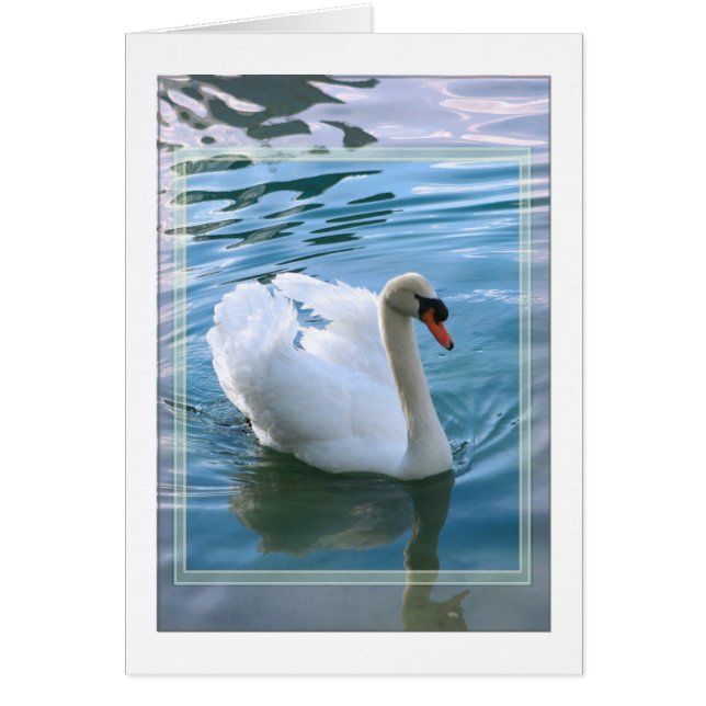 Swan Blank Card (Vorne)