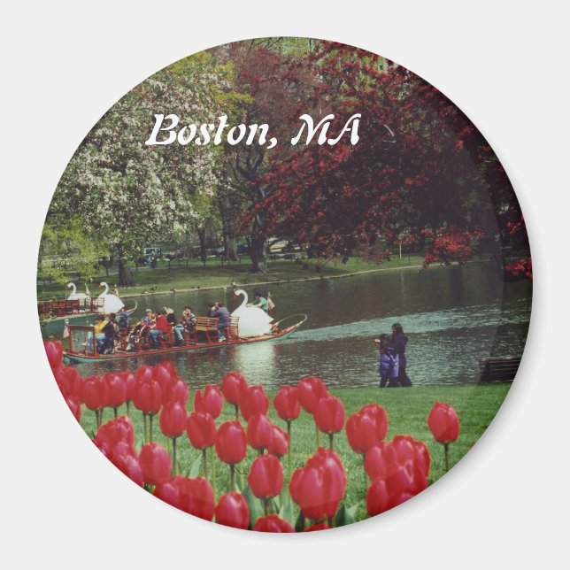 Swan Boats und Red Tulips Magnet (Vorne)