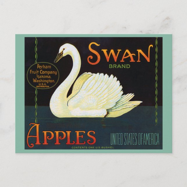 Swan Brand Apples Washington Staat Crate Label Postkarte (Vorderseite)