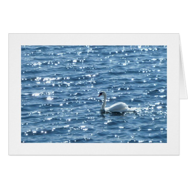 Swan Cardiff Bay, Cardiff, Wales (Vorderseite (Horizontal))