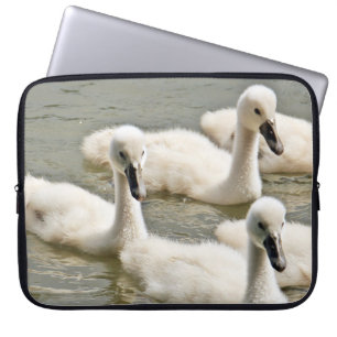 Swan Cygnets Schwimmen Laptopschutzhülle
