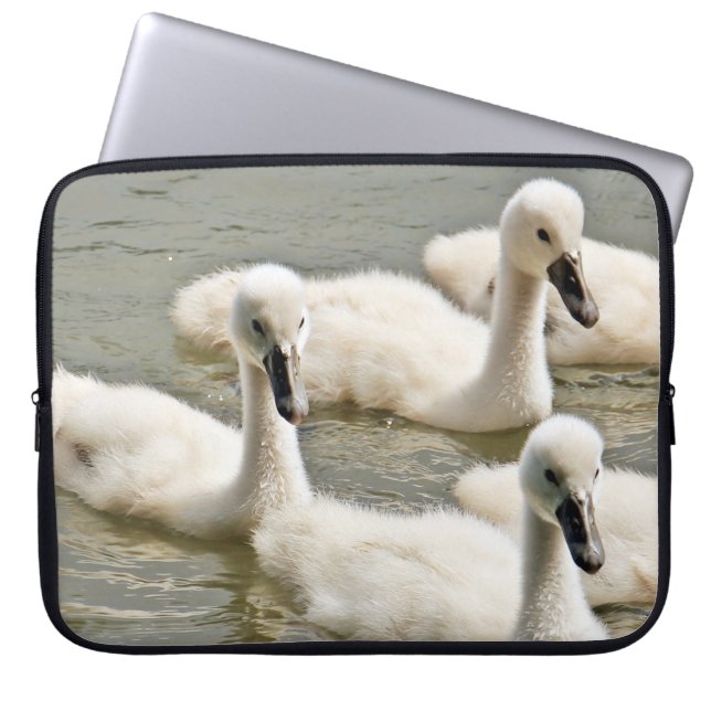 Swan Cygnets Schwimmen Laptopschutzhülle (Vorderseite)