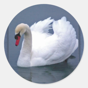 SWAN ELEGANCE RUNDER AUFKLEBER