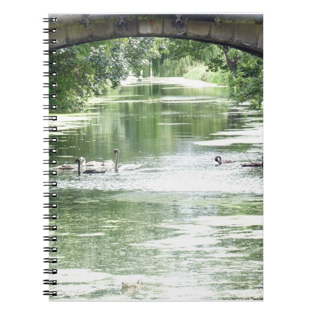 Swan-Familie am Fluss Notizblock (Vorderseite)