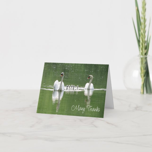 Swan Family Fotograf Danke Karte (Vorderseite)
