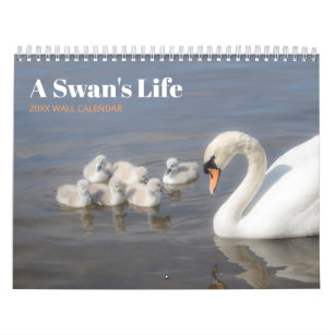 Swan Family Fotokalender Kalender