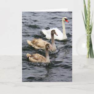 Swan Family - Glücklicher Muttertag Karte