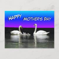 Swan Family Happy Mother Day Postcard