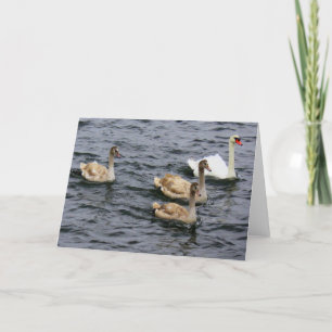 Swan Family Karte