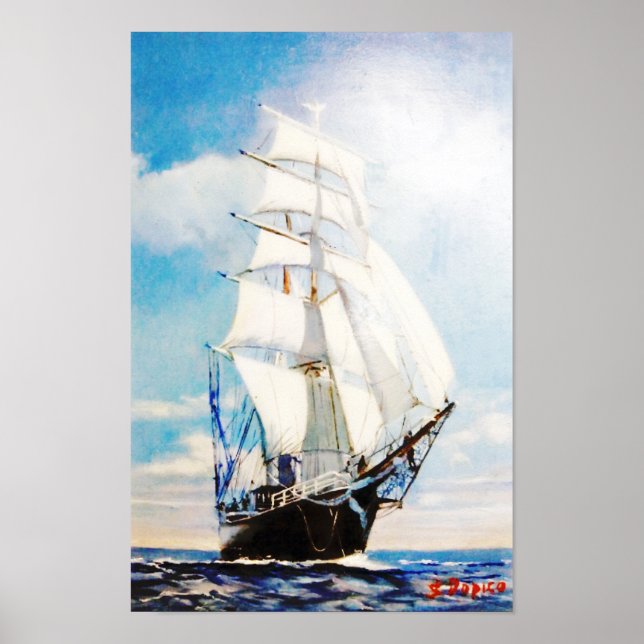 Swan Fan Makkum Poster (Vorne)