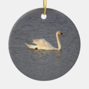 Swan Foto Ornament
