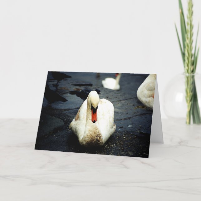 Swan - Galway, Irland Karte (Vorderseite)