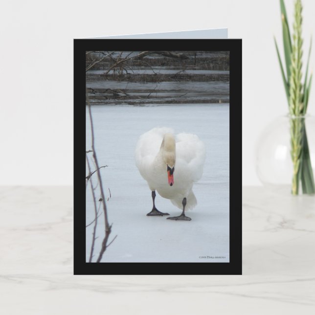 Swan-Gebiet Karte (Vorderseite)