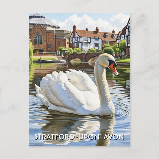 Swan in Stratford-Upon-Avon England Travel Postkarte (Vorderseite)