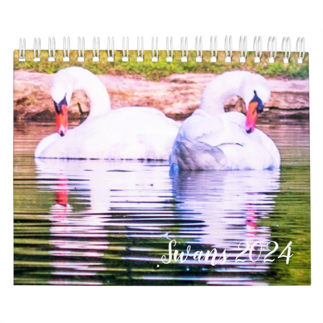 Swan-Kalender 2024 Kalender (Titelbild)