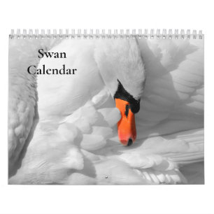Swan-Kalender 2025 Kalender