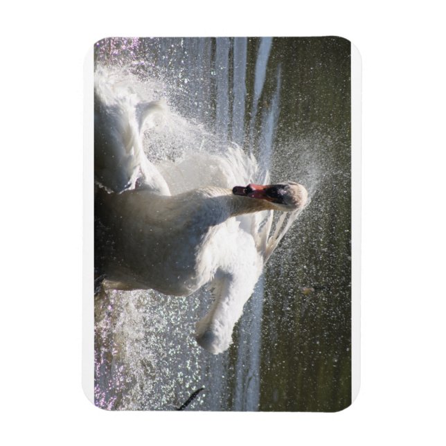 Swan Kühlschrankmagnet Magnet (Vertikal)