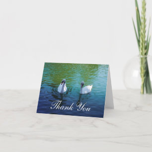Swan Lake - Dankeschön Karten