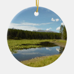 Swan Lake I at Grand Teton National Park Keramik Ornament