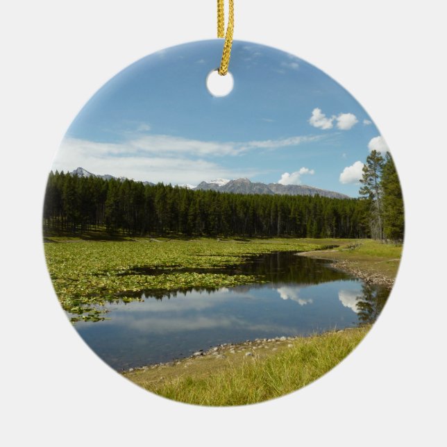 Swan Lake I at Grand Teton National Park Keramik Ornament (Vorne)