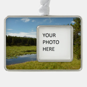 Swan Lake I at Grand Teton National Park Rahmen-Ornament Silber