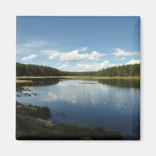 Swan Lake II beim Grand Teton Nationalpark Magnet