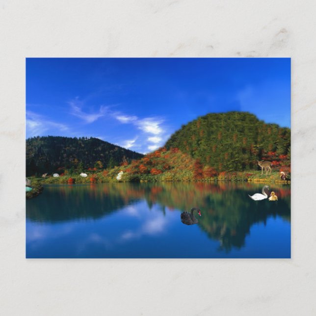 Swan Lake Mountains Postkarte (Vorderseite)