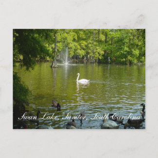 Swan Lake Postkarte