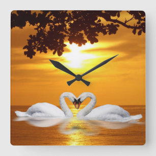 Swan-Liebe Quadratische Wanduhr