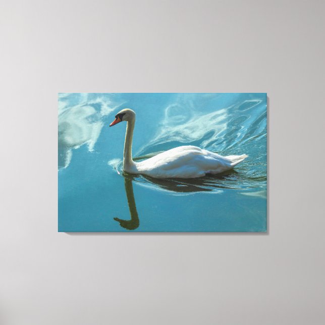 Swan mit Cloud Reflections Leinwanddruck (Vorderseite)