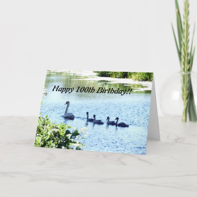 Swan mit Cygnets am Fluss Karte (Vorderseite)