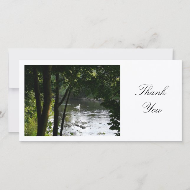Swan on a River - Danke (Vorderseite)