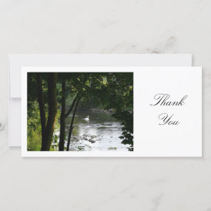 Swan on a River - Danke