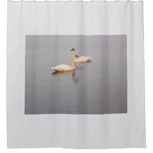 Swan Pair Duschvorhang