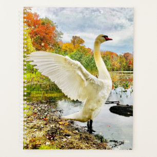 Swan Planner Planer