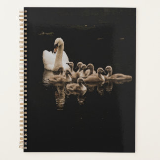 Swan Planner Planer