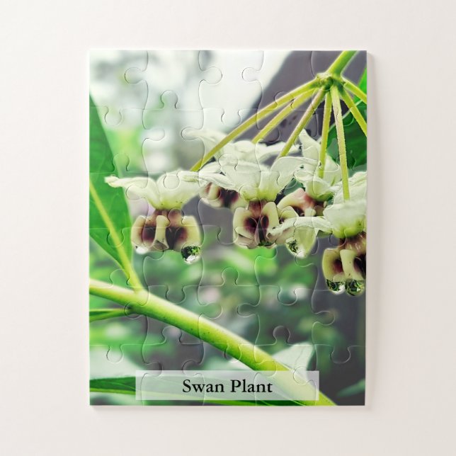 Swan Plant: Monarch’s First Home 30 Pcs Puzzle (Vertikal)