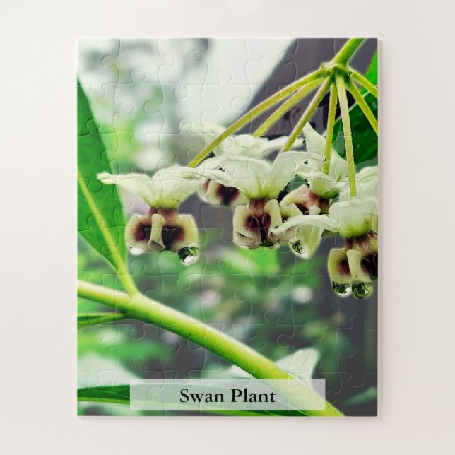 Swan Plant: Monarch’s First Home 56 Pieces Puzzle (Vertikal)