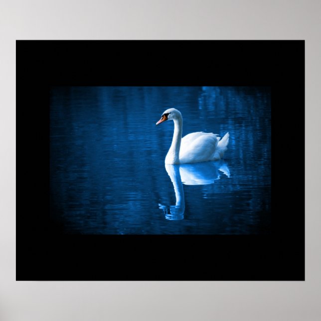 Swan Poster (Vorne)