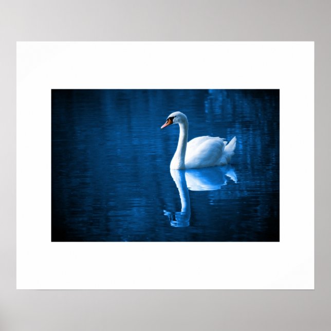 Swan Poster (Vorne)