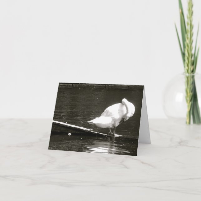 Swan Preening Note Card by Brad Hines Karte (Vorderseite)