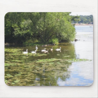 Swan See Mousepad