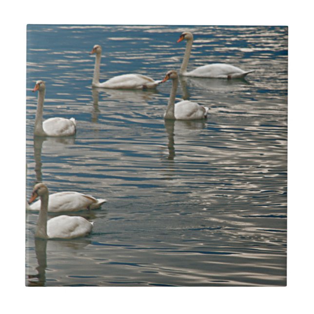 Swan Song Fliese (Vorderseite)