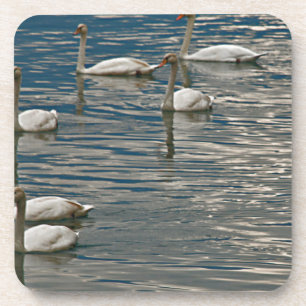 Swan Song Untersetzer