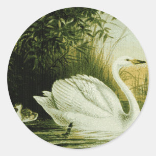 Swan Sticker