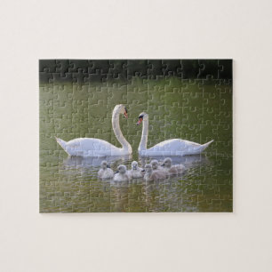 Swan und Cygnets Puzzle