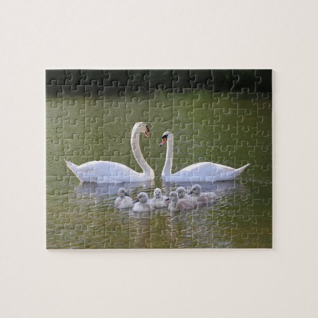 Swan und Cygnets Puzzle (Horizontal)